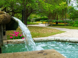 take in the sights and smells of the San Antonio botanical gardens
